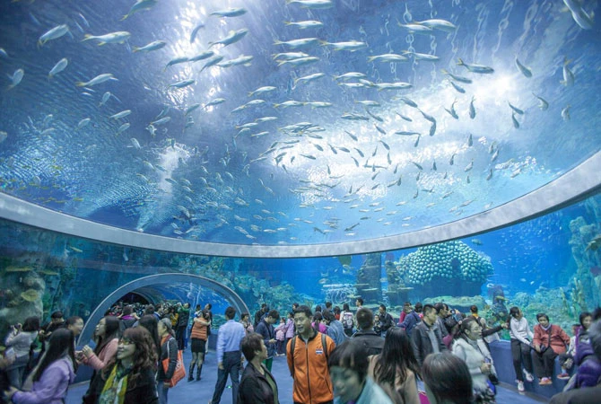 Check out the National Oceanographic Museum of Vietnam