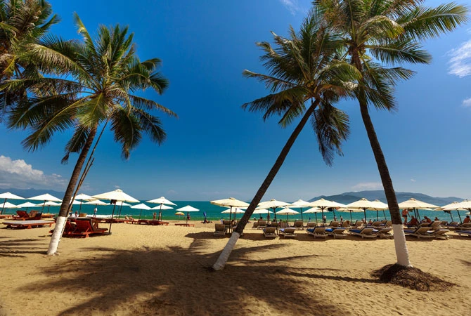Sunbathe on the Beach