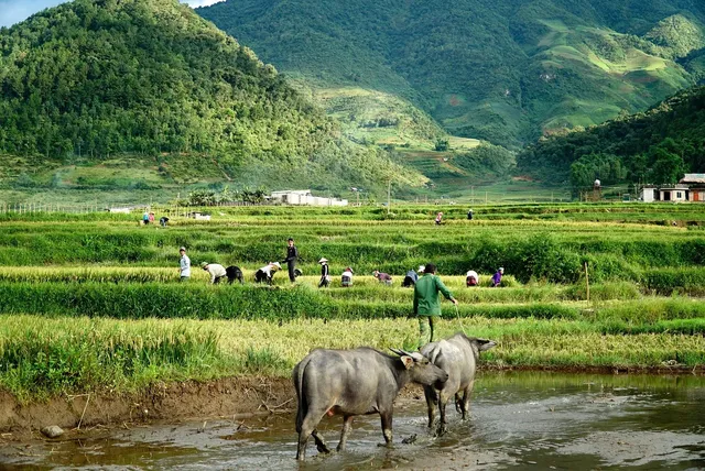 The Glance of Central and Northern Vietnam