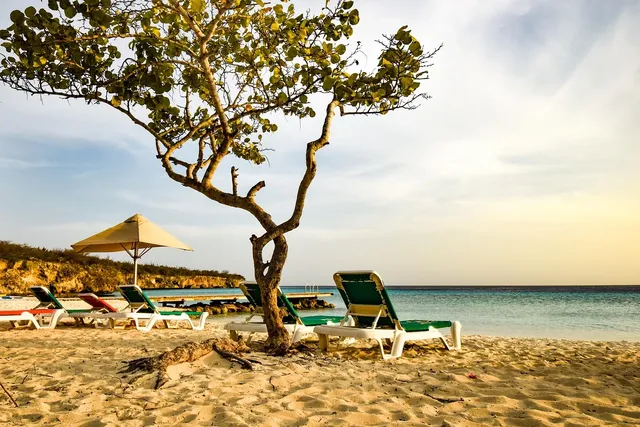 Bustling Saigon and The Pearl Island of Phu Quoc