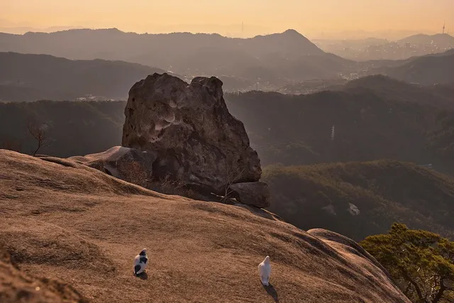 Top 10 Relaxing Holiday Destinations in Vietnam