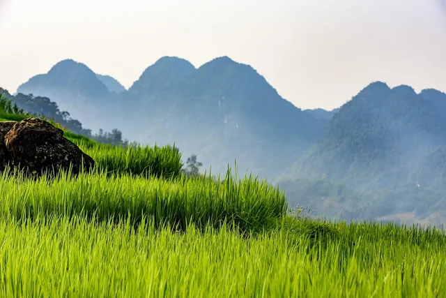 Kho Muong Village