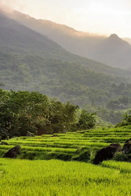 Things to do in Pu Luong