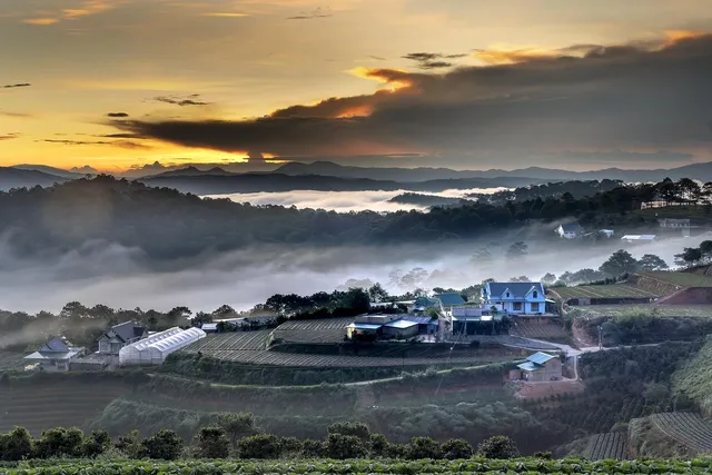 Dreamy Hill Da Lat