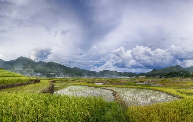 The Glance of Central and Northern Vietnam