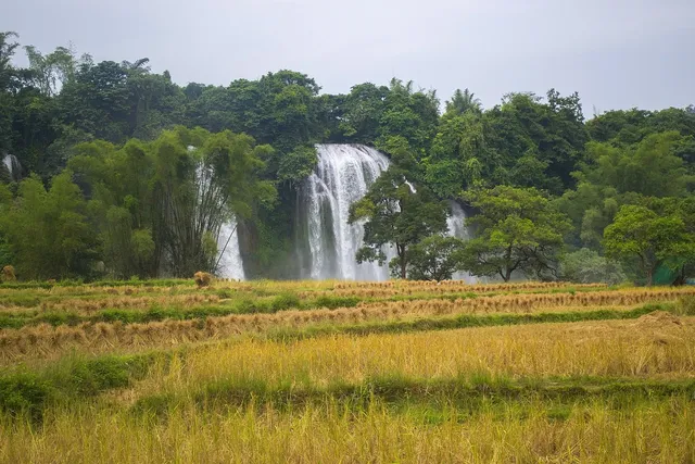 Hai Phong