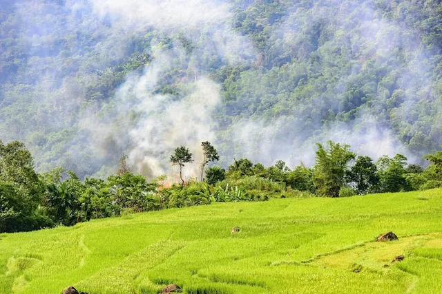 Son - Ba - Muoi villages