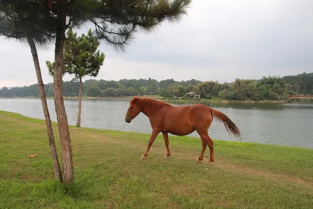Dalat – fly back home