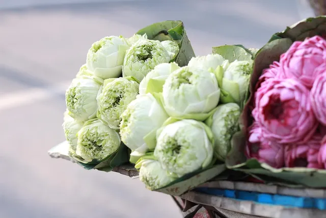 Hanoi arrival – explore the city & enjoy the foot massage