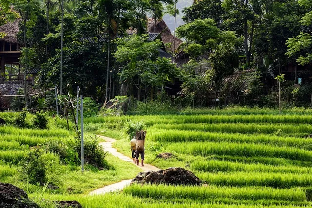 Ban Don village