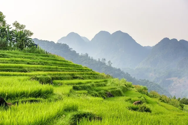 Villages and Terraces in Pu Luong