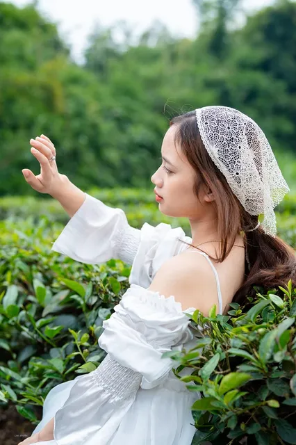 The Glance of Central and Northern Vietnam