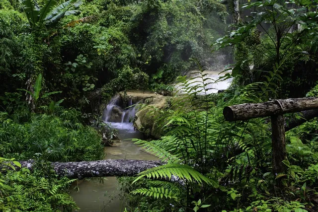 Elephant Waterfall