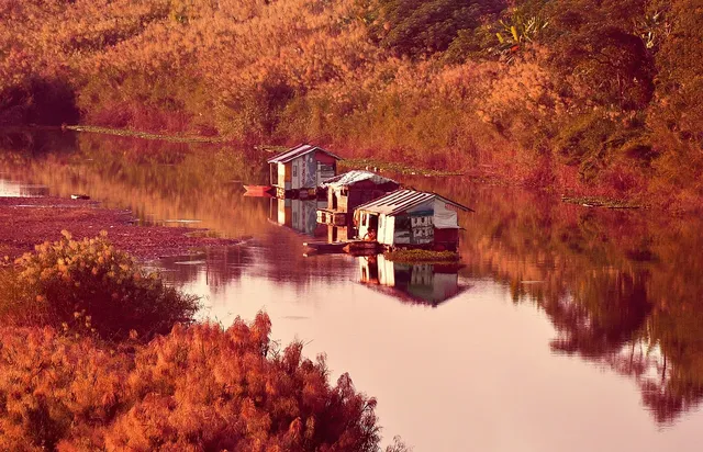 Amazing tour to the North of Vietnam