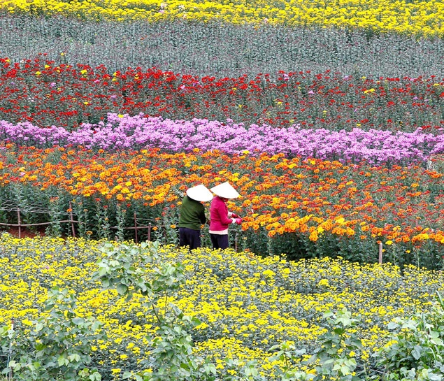 Things to do in Da Lat